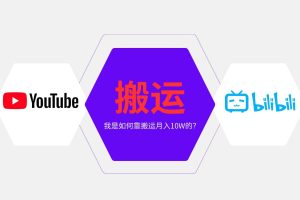 （13795期）纯搬运引流日进300粉，月入10w级教程