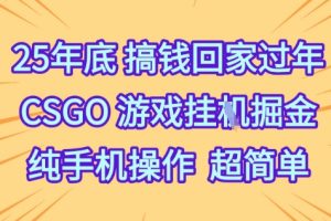 25年底搞钱回家过年，CSGO游戏挂G掘金，纯手机操作超简单【揭秘】