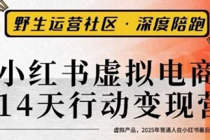 小红书虚拟电商14天变现训练营3.0，​虚拟产品，2025年普通人在小红书最后的搞钱机会