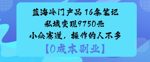 蓝海冷门产品:16条笔记私域变现9750米小众赛道,操作的人不多