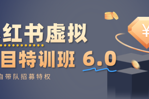 小红书虚拟项目特训班6.0 ，养号/选品/自动发货/爆款笔记（含40节视频课）