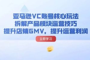 （11848期）亚马逊VC账号核心玩法，拆解产品模块运营技巧，提升店铺GMV，提升运营利润