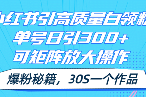 （11692期）小红书引高质量白领粉，单号日引300+，可放大操作，爆粉秘籍！30s一个作品