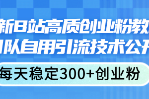 （11661期）最新B站高质创业粉教程，团队自用引流技术公开，每天稳定300+创业粉