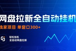 网盘拉新全自动挂机项目 独家稳定 单窗口轻松日入300+ 可矩阵