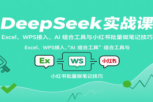 DeepSeek实战课：Excel、WPS接入、AI 组合工具与小红书批量做笔记技巧
