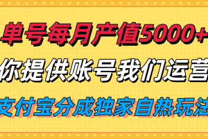 单月产值5000+，支付宝分成代运营，你提供账号坐等分钱，我们帮你运营