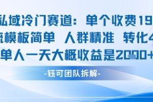 私域冷门赛道单个收费198米引流模板简单人群精准 45%的转化率单人一天大概收益多张