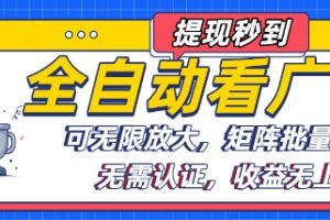 全自动看广告项目，可无限放大，可矩阵批量操作