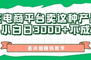 （11206期）最新在电商平台发布这种产品，新手小白日入3000+不成问题，最详细赚钱教学