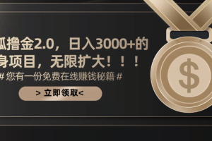 （11196期）搜狐撸金2.0日入3000+，可无限扩大的翻身项目