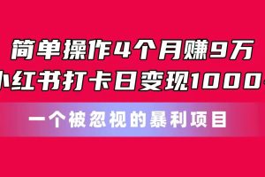 （11048期）简单操作4个月赚9万！小红书打卡日变现1000+！一个被忽视的暴力项目