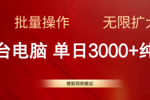 （11064期）搜狐视频搬运，一台电脑单日3000+，批量操作，可无限扩大