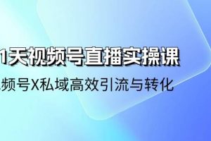 （10966期）21天-视频号直播实操课，视频号X私域高效引流与转化（22节课）