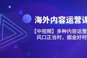 （10833期）海外内容 运营课【中视频】多种内容运营玩法 风口正当时 掘金好时机-101节