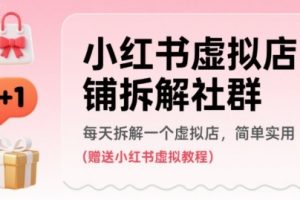 小红书虚拟店铺拆解社群，每天拆解一个虚拟店，简单实用(赠送小红书虚拟教程)