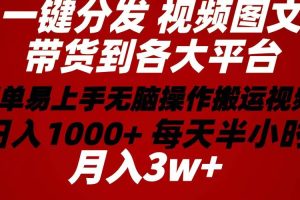 （10667期）2024年 一键分发带货图文视频  简单易上手 无脑赚收益 每天半小时日入1…