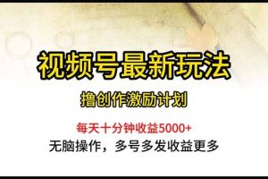 （10591期）视频号最新玩法，每日一小时月入5000+