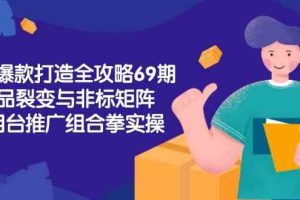 淘宝爆款打造全攻略-69期，标品裂变与非标矩阵，万相台推广组合拳实操