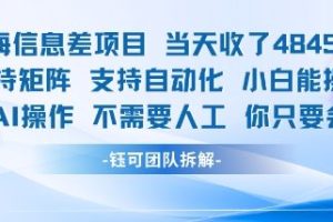 蓝海信息差项目当天收米1k+ 支持矩阵支持自动化小白能操作全程AI操作不需要人工你只要会电脑