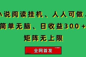 小说挂G阅读，人人可做，简单无脑，一天收益3张+矩阵无限上，全网首发【揭秘】