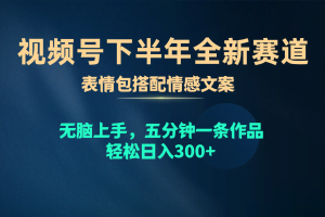 （10267期）视频号下半年全新赛道，表情包搭配情感文案 无脑上手，五分钟一条作品…