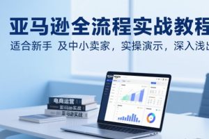 亚马逊全流程实战教程，适合新手及中小卖家，实操演示，深入浅出