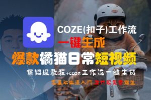 COZE(扣子)工作流一键生成爆款橘猫日常短视频，保姆级教程，零基础快速入门