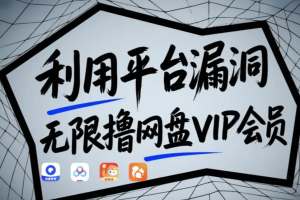 利用平台漏洞，无限撸网盘VIP会员，用户亲测有效！【漏洞原理+操作演示】