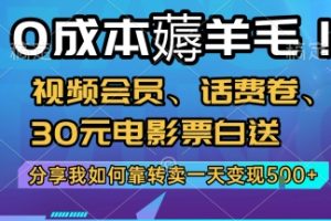 0成本薅羊毛!视频会员、话费卷、30元电影票白送，分享我如何靠转卖一天变现5张+【揭秘】
