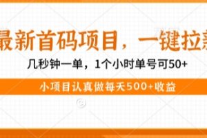 最新首码项目，操作最简单，收益高，一键拉新，1个小时单号可50+，小项目认真做每天5张+收益【揭秘】