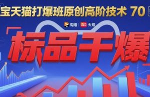 淘宝天猫打爆班原创高阶技术第70期：标品干爆