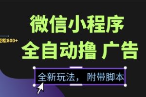 微信小程序全自动撸广告项目，彻底解决没流量的问题，新手一天8张+【揭秘】