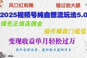 2025视频号纯自然流玩法5.0，绿色正规高佣金，操作爆款门槛低，变现收益单月轻松过万