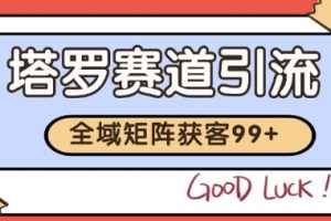 小红书某音塔罗赛道引流获客 自热矩阵日引200+【揭秘】
