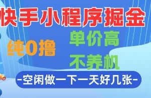 快手小程序掘金，纯0撸，单价高不养机 利用空闲时间做一做，一天好几张【揭秘】
