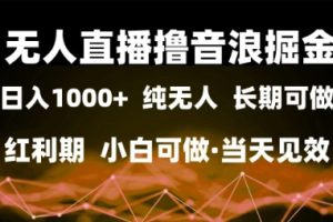 无人直播撸音浪掘金，日入1k+，纯无人红利期，小白可做，当天见效【揭秘】