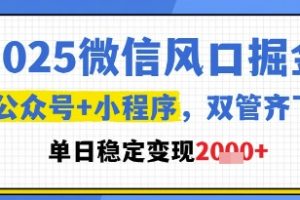 2025微信风口掘金，公众号+小程序双管齐下，单日稳定变现1k+【揭秘】