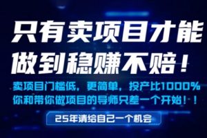 只有卖项目才能做到稳挣不赔，门槛低，更简单，你也可以年入百个W【揭秘】