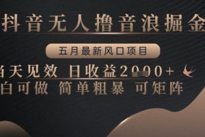 抖音无人撸音浪掘金，五月最新风口项目，当天见效，日收益多张，小白可做简单粗暴可矩阵【揭秘】