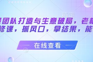 流量团队打造与生意破局，老板流量必修课，抓风口，拿结果，能落地