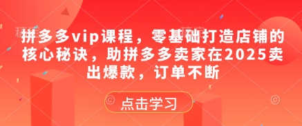 拼多多vip课程,零基础打造店铺的核心秘诀,助拼多多卖家在2025卖出爆款,订单不断
