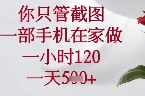 你只管截图，一部手机在家可以做，一小时120.一天5张+【揭秘】