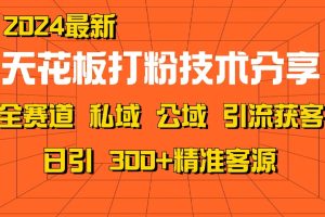 天花板打粉技术分享，野路子玩法 曝光玩法免费矩阵自热技术日引2000+精准客户