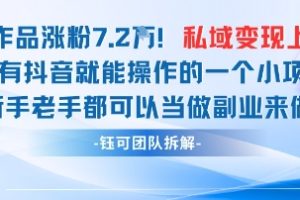 抖音私域项目23条作品涨粉7.2W，私域变现1W