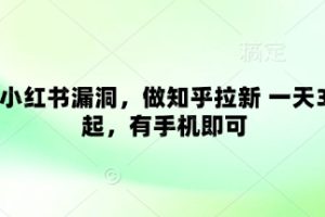 卡小红书漏洞，做知乎拉新 一天3张起，有手机即可