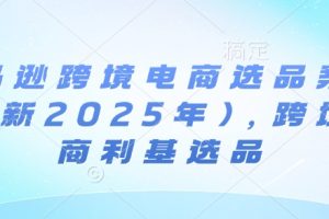 亚马逊跨境电商选品案例(更新2025年4月)，跨境电商利基选品
