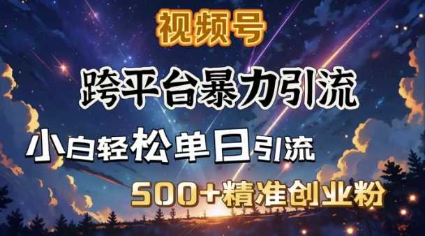 跨平台暴力引流,私域完美闭环,日引500+精准创业粉