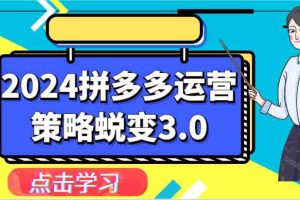 2024拼多多运营策略蜕变3.0-提升拼多多认知、制定运营策略、实现盈利收割等
