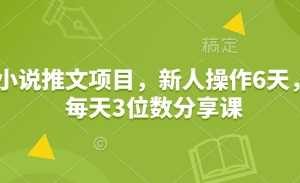 小说推文项目，新人操作6天，每天3位数分享课